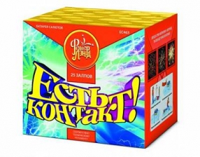 Есть контакт! ЕС463